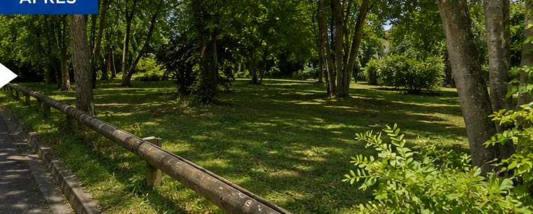 Entretien de sous-bois — après