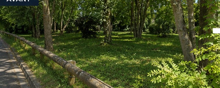 Entretien de sous-bois — avant
